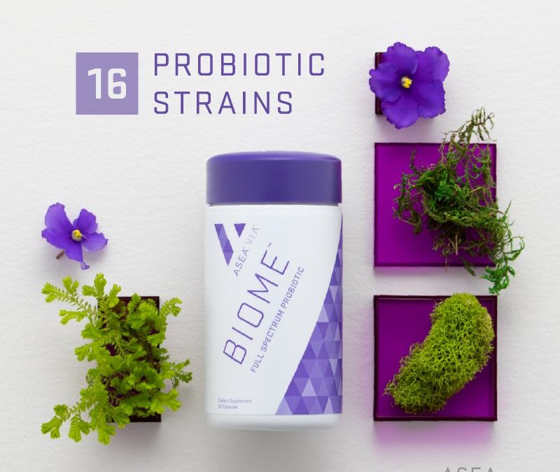 probiotic strains biome