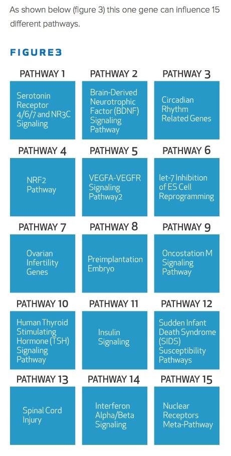 one gene can influence 15 pathways