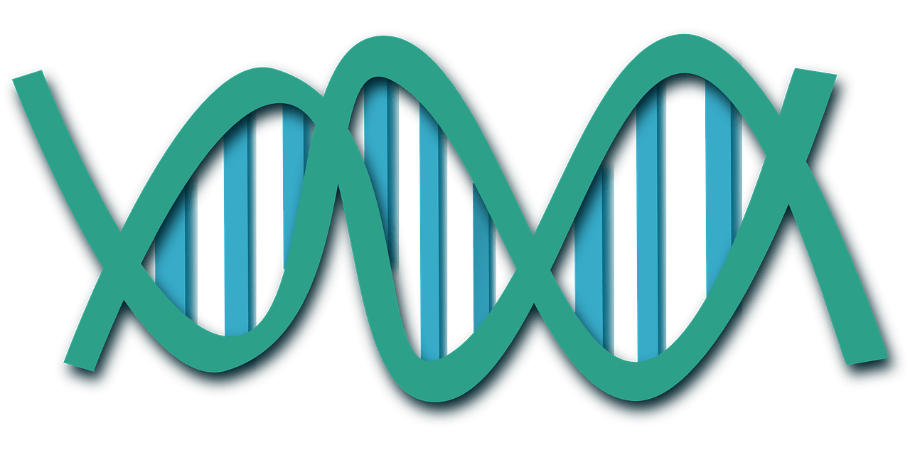 gene signaling cell signaling